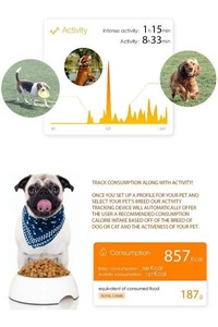 PETKIT P2 Smart Activity and Mood Monitoring Pet Tracker