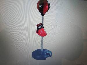 Jr. Sports NSG Boxing Set open box...