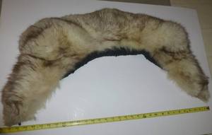 lot 8 image: VintageAntique Very thick and lush fur collar, guessing fox or coyote.
