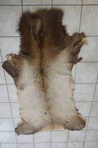 lot 40 image: brown bear rug