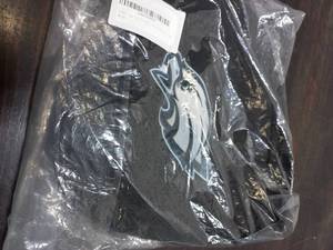 Eagles Headrest Cover