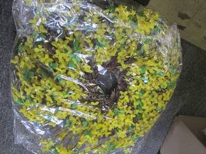 lot 139 image: box of 14 artificial forsyth home d...