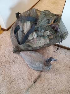 lot 5 image: Collection Of Decoys