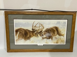 Framed Wildlife Print