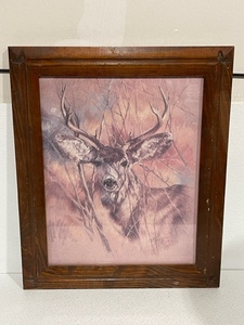 Framed Wildlife Print
