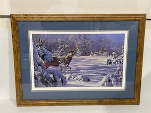 Framed Wildlife Print