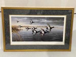 Framed Wildlife Print