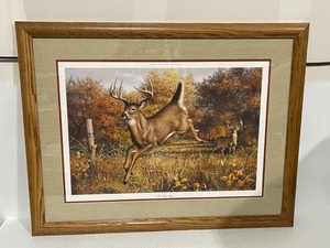 Framed Wildlife Print