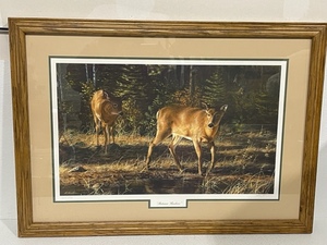 Framed Wildlife Print