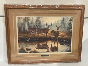 Framed Wildlife Print