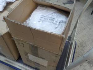 Case of Teri Lingerie Ladies Underw...
