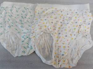 Case of Teri Lingerie Ladies Underw...