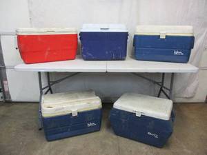 lot 53 image: Lot of Coolers. Some Igloo.