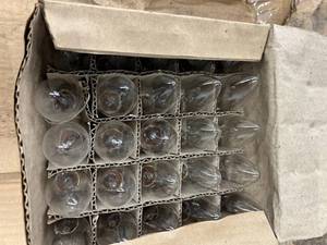 FULL CASE SMALL BULBS