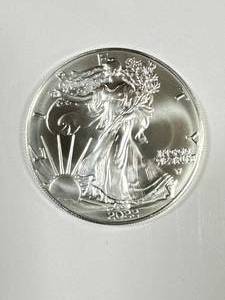 2020 1oz .999 Silver Eagle