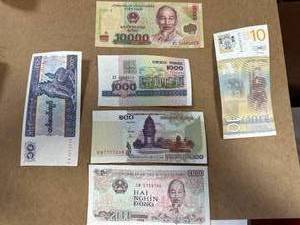 Foreign Currency Lot