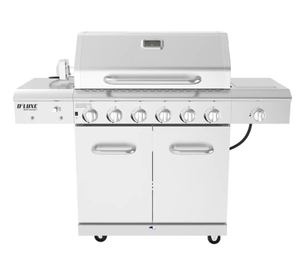 Nexgrill 6-Burner Propane Gas Grill in Stainless Steel with Ceramic Searing Side Burner and Rotisserie Kit (LOOKS TO BE IN GOOD CONDITION, NOT ASSEMBLED)