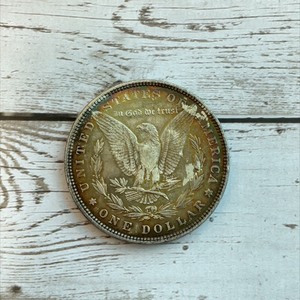 1882 Morgan Silver Dollar Toned Collector Coin