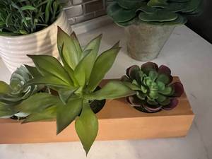 lot 92 image: Faux Succulent Plant Lot of Three