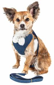 lot 137 image: New Pet Life Luxe Pom Draper 2-in-1 Mesh Adjustable Dog Harness-Leash with Pom-Pom Bowtie - Medium