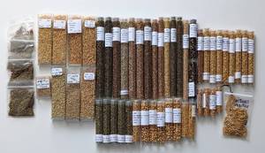 lot 4 image: Variety Gold Tone Seed Bead Packs