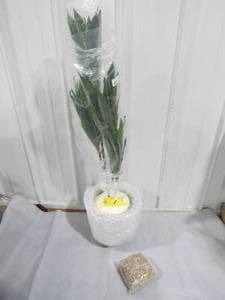 Nearly Natural Real Touch 4 ft. Indoor Dracaena Artificial Plant in Sand Planter