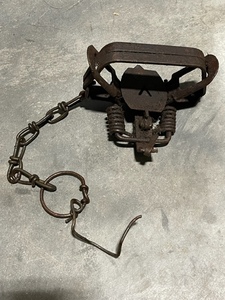 Double Spring Jump Trap