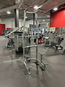 lot 5 image: Torque Fitness Chin Dip selectorized machine.