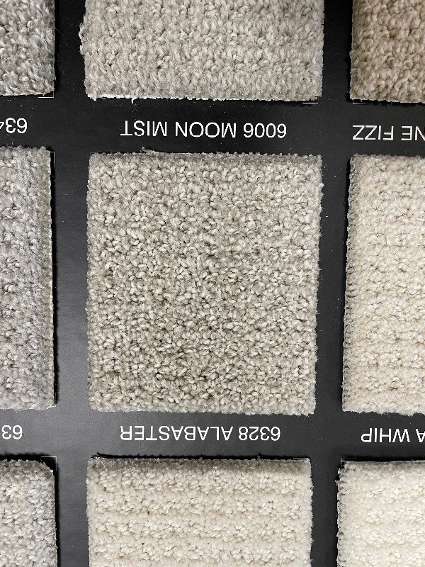Tyyyy出品 216 SF Dream Weaver Carpet Rem Pinpoint 