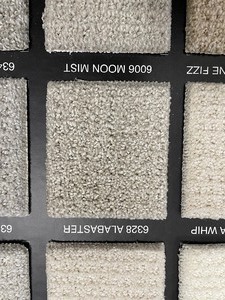 216 SF Dream Weaver Carpet Rem Pinpoint Moon Mist  12 x 18
