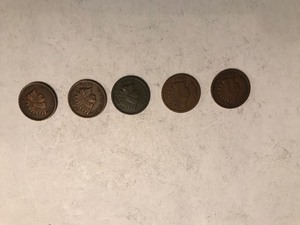 lot 43 image: 5 - Indian Head Pennies
