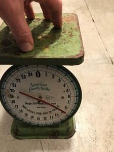lot 89 image: Vintage American Family Scale