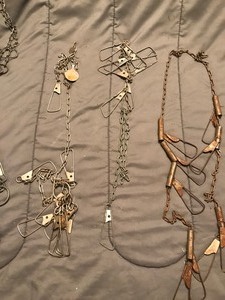 lot 168 image: 6 metal fishing stringers