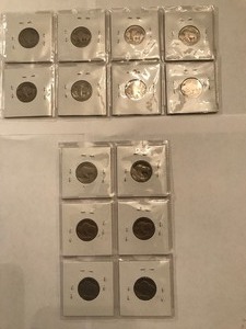 lot 191 image: 14 - Buffalo head nickels