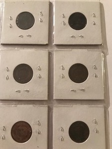 lot 197 image: 6 - Indian head pennies