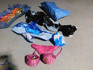 lot 237 image: 6 floaties and beach bag