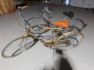 lot 387 image: 2 speed bikes