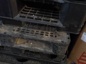 4 Plastic Pallets...