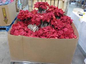 Pallet of Artificial Poinsetta Plan...