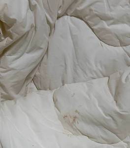 Queen SZ Off White Comforter