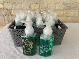 lot 34 image: Lot of 20 Evergreen Scented Foam Hand Soaps