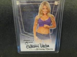 196.     2011 BenchWarmer Britanny ...