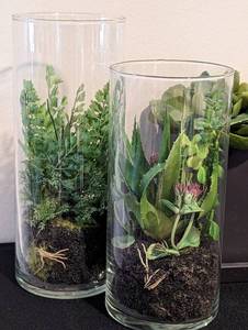 lot 258 image: Decorative Faux Succulent Plants