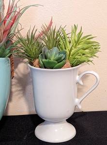 lot 288 image: Decorative Faux Succulent Plants