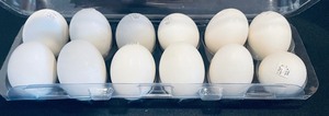 lot 354 image: 2 Dozen Department 56 Faux Eggs
