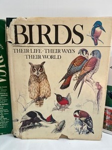 lot 400 image: Birds, Birds, Birds and Minnesota Books - 9 Pieces