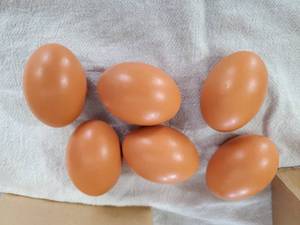 lot 1970 image: Lot of Wooden Brown Eggs for Decoration (18)