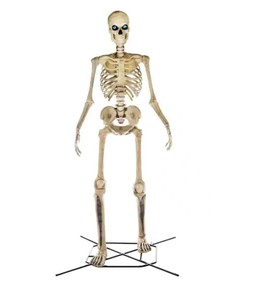 lot 9 image: Home Accents Holiday 12 ft Giant-Sized Skeleton with LED LifeEyes