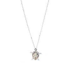 Christopher & Banks Long Turtle Necklace