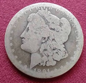Low-Grade 1891 Morgan Dollar